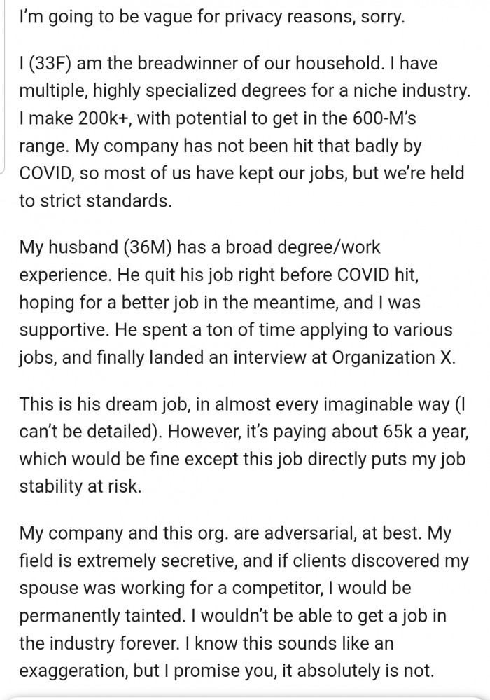 OP explained that her husband landed the interview of a lifetime. But the problem is, taking this job would put her career at risk.
