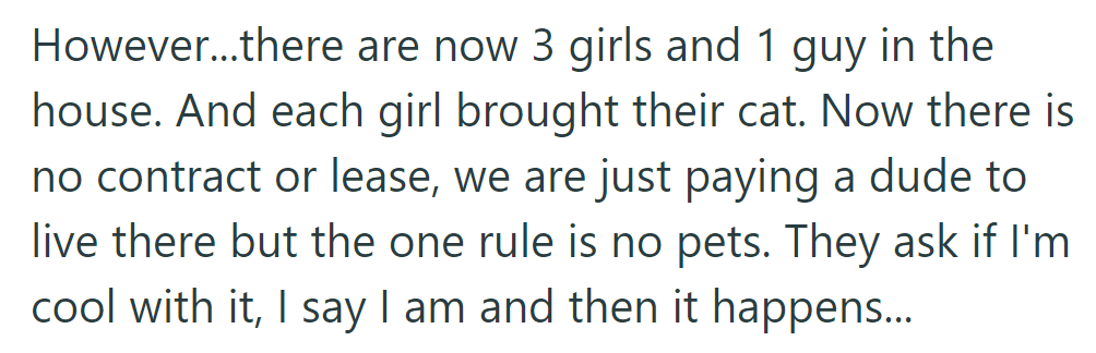 Despite no pets being allowed, three girls move in with cats, disregarding the lease agreement.