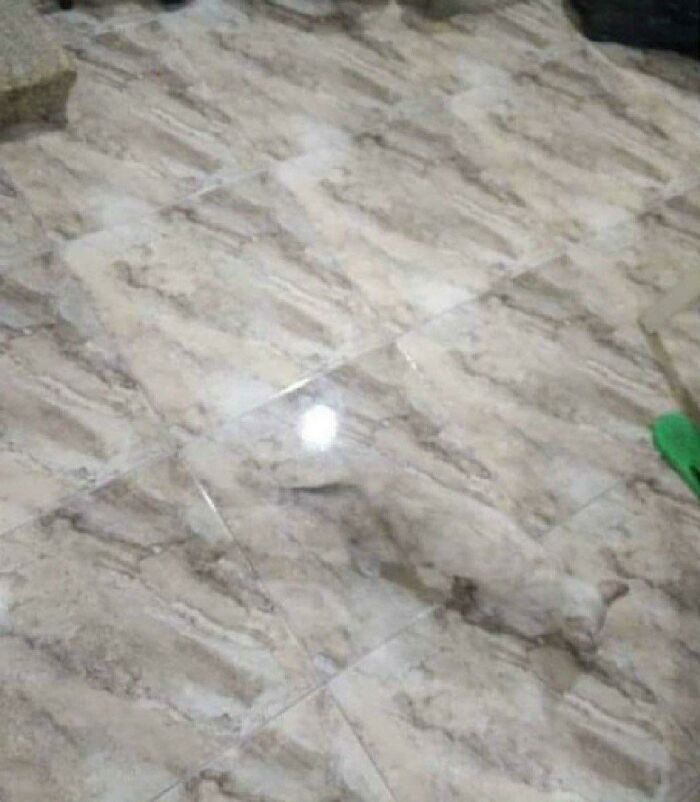 14. This Camouflage Is On Another Level