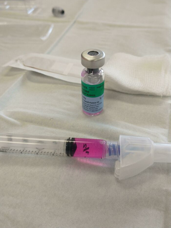 "Rabies Vaccines Are Purple Apparently"