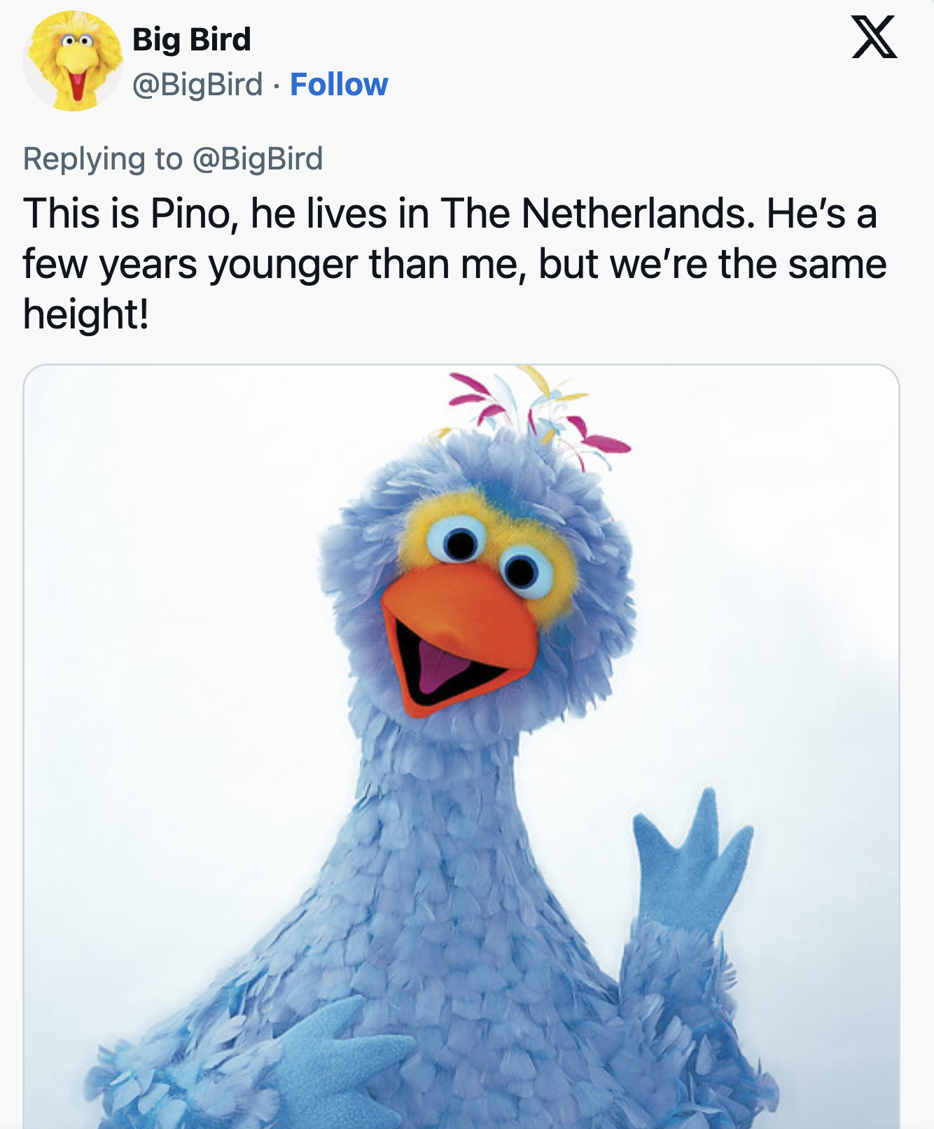 Pino from the Netherlands