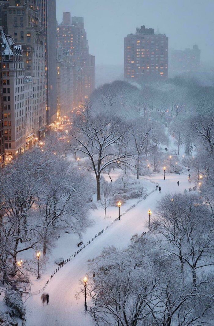 Central Park, New York