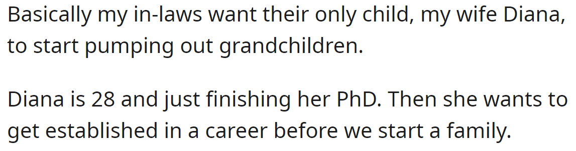 OP explained their in-laws are pressuring them to have a kid: