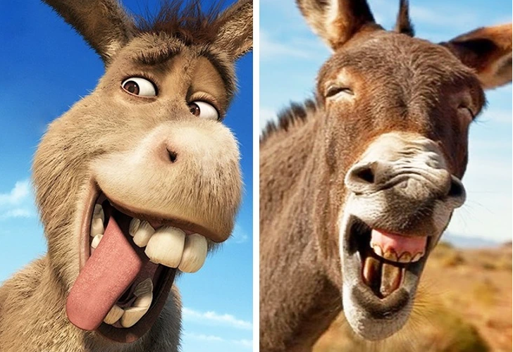 Donkey - Shrek