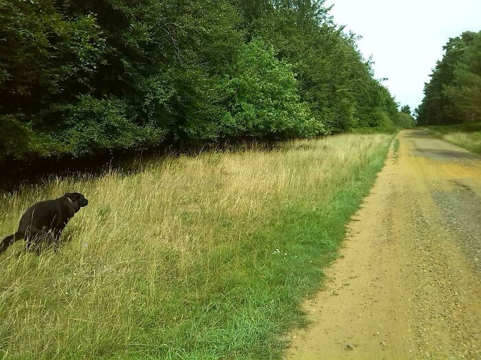 25. The British woodland with the one responsible for fertilizing the ground.