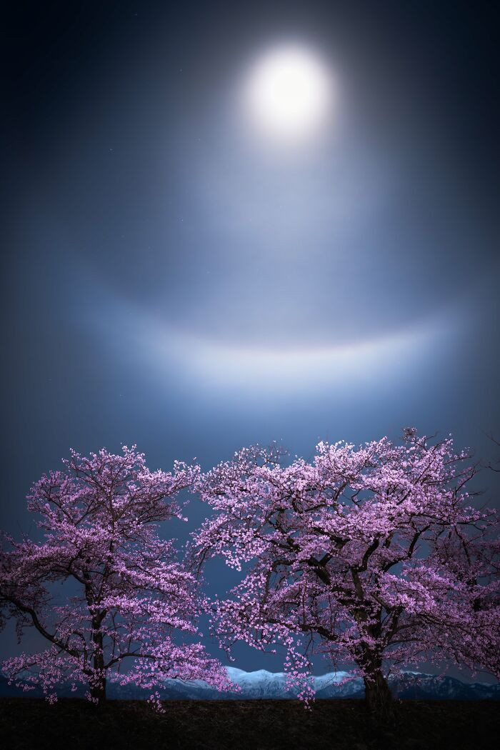 “Setsu-Getsu-Ka” By Takanobu Kurosaki