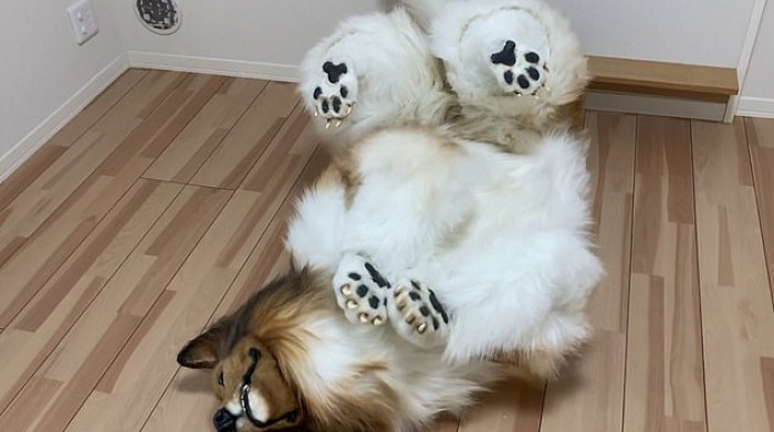 People don't really know what to think.