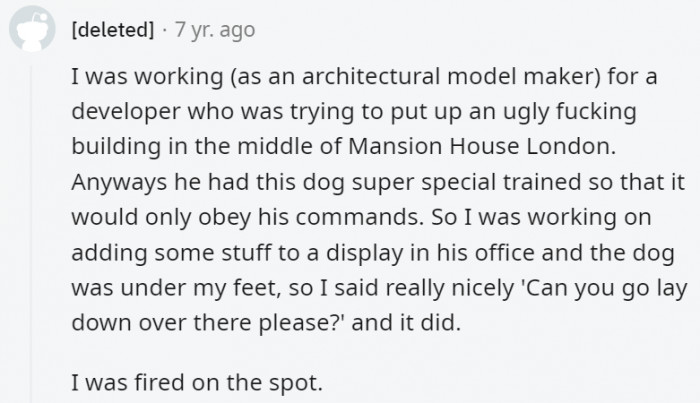 10. The dog in this story might have just found a new master