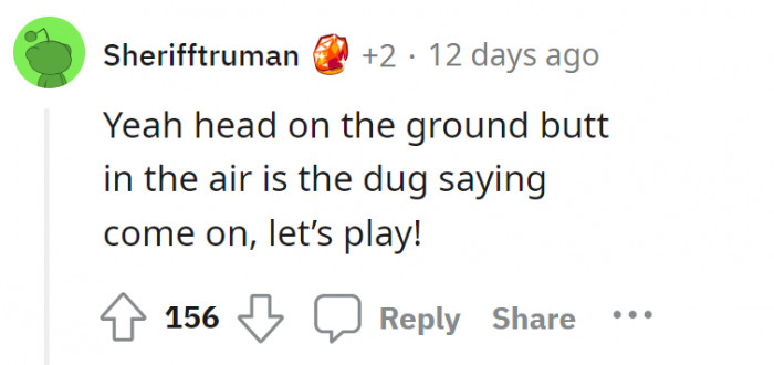 Doggy body language. Best to know a bit of basic dog trivia.