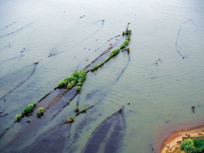 18. The 'Ghost Fleet' Of Mallows Bay, Maryland. A Fleet Of Hundreds Of American Ships Built Of Wood Due To Wartime Steel Shortages. Most Of These Ships Were Obsolete Upon Project Completion After The End Of The War And Left To Rot