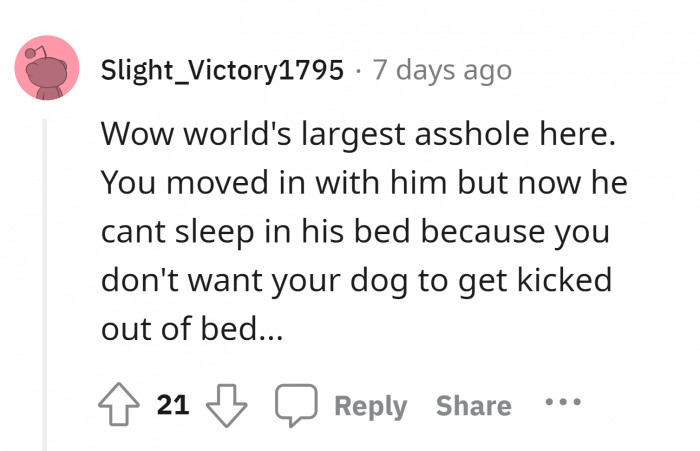 As if your boyfriend has to do anything with your dog.