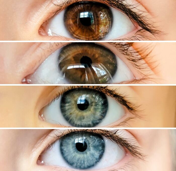 "My Husband Has Brown Eyes, I Have Blue. These Are Our Four Children's Eyes"