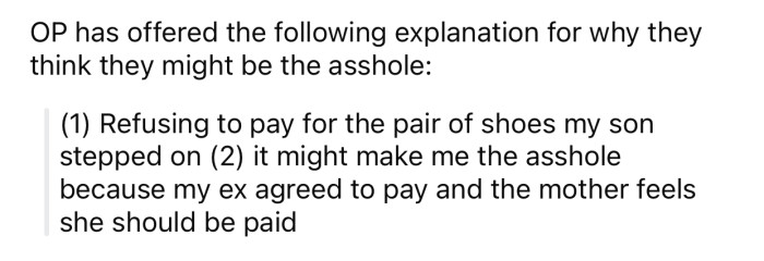 OP thinks she might potentially be the a-hole for the following reason: