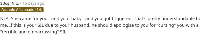It is very understandable why OP got upset with her sister-in-law for doing this, and we are surprised that her family doesn't understand that.