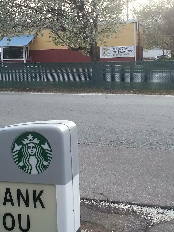 "Best Ad Placement of All Time"