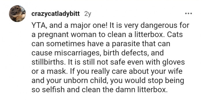 Cats can sometimes have a parasite that causes miscarriage