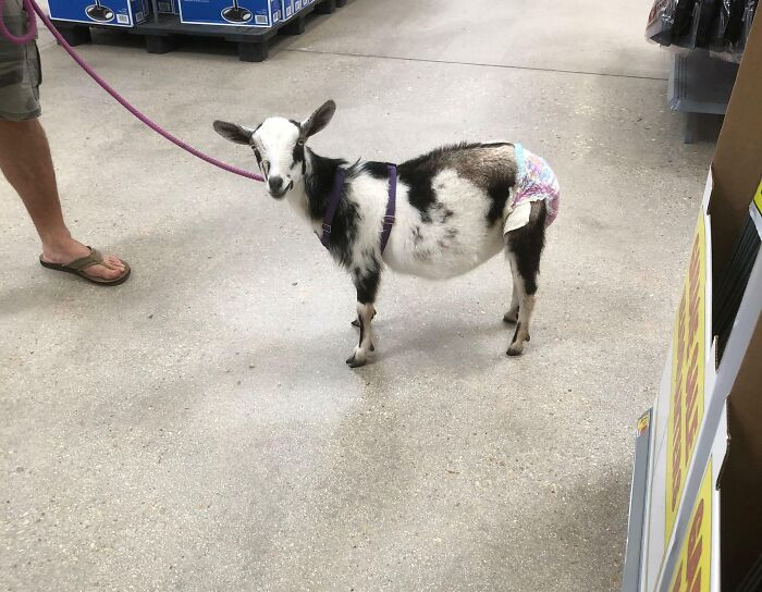 "Only At Walmart"