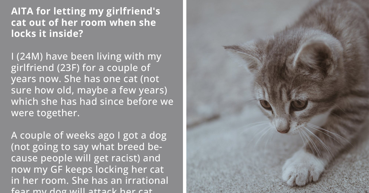 Boyfriend Recklessly Endangers His Girlfriend's Cat's Life Because Of His New Dog