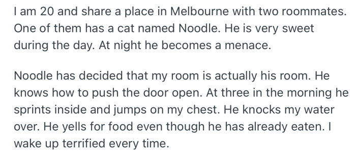 OP’s roommate’s cat has a habit of being a menace at night