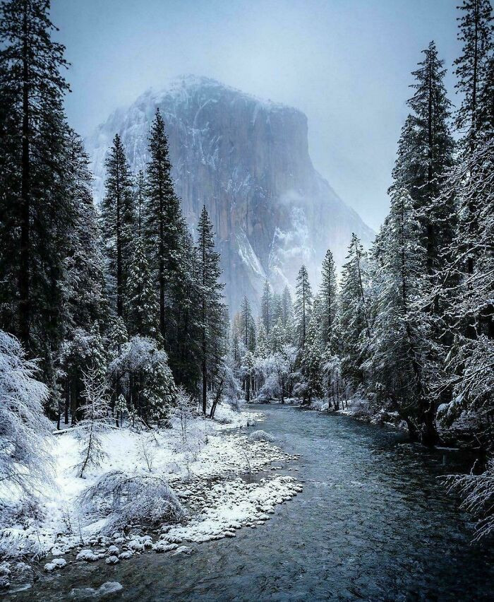 Snow In Yosemite