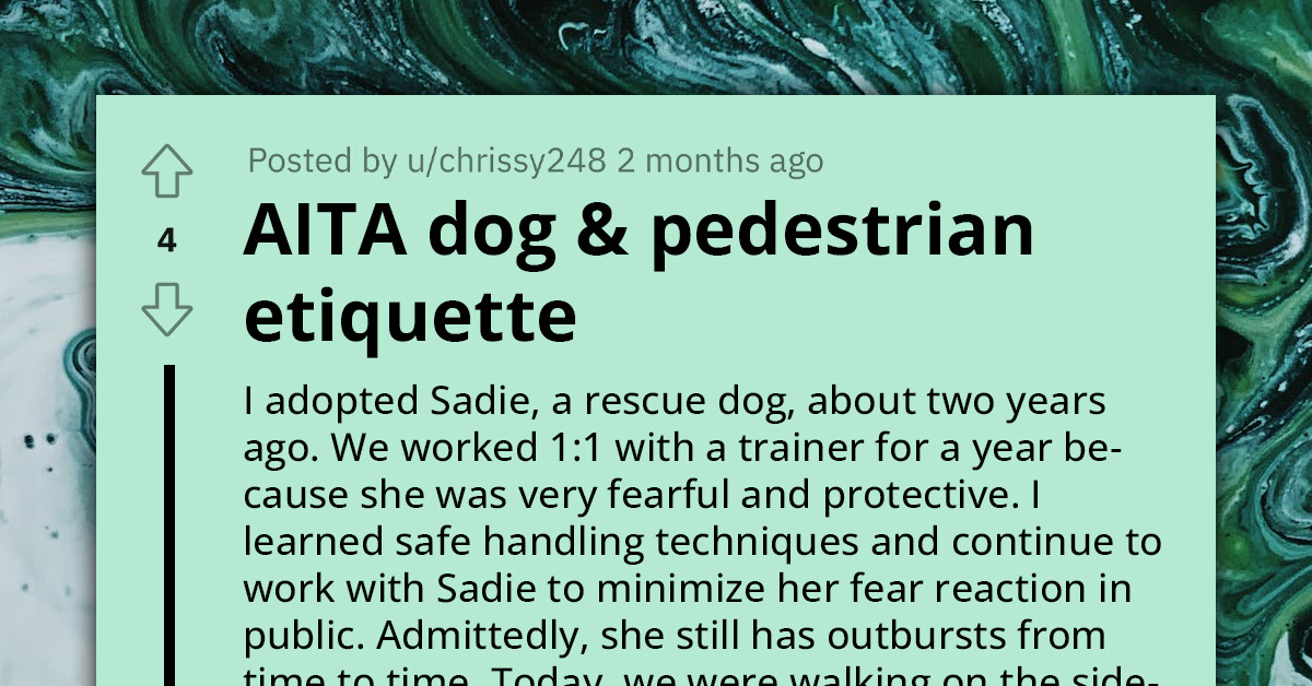 Redditor Outraged By Neighbor’s Refusal To Leave The Sidewalk In Order To Avoid Setting Off Their Reactive Dog