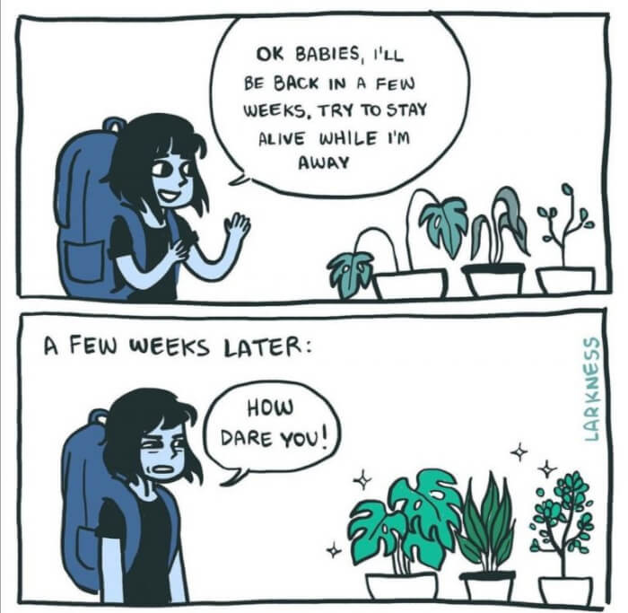 13. They said something?