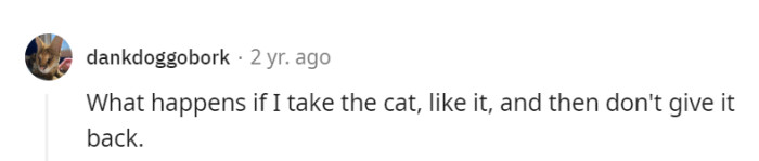 Grabbing the cat, getting attached, and not giving it back sounds like the making of a purr-fectly unorthodox cat-napping caper!