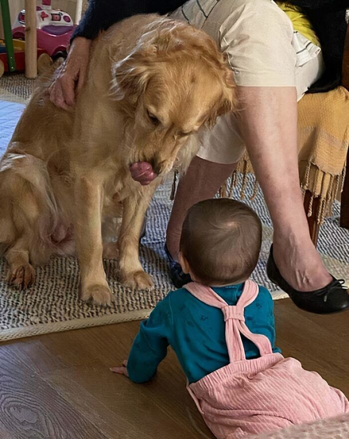 "My 2 Daughters' First Word Was The Dog's Name"