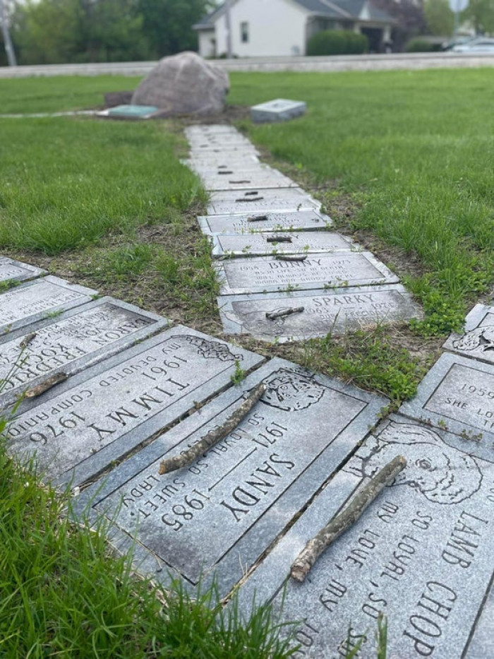 1. Someone placed a small stick on each of the dog graves in this cemetery.