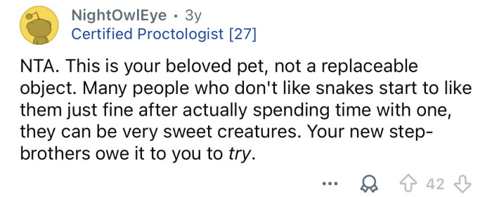 He’s a pet, not an object you can replace.