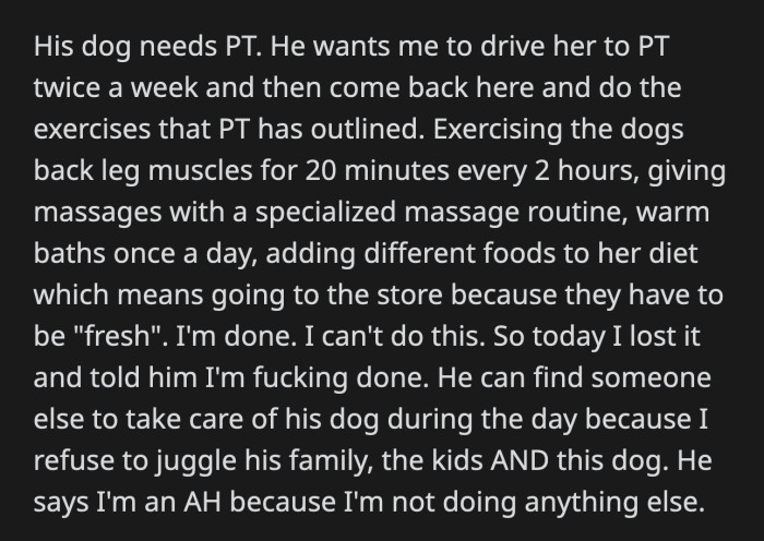 OP has nothing left to give. She told her husband she was done and asked him to find someone else to juggle their kids, his family, and his dog. He called her an a**hole because she's not really doing anything.