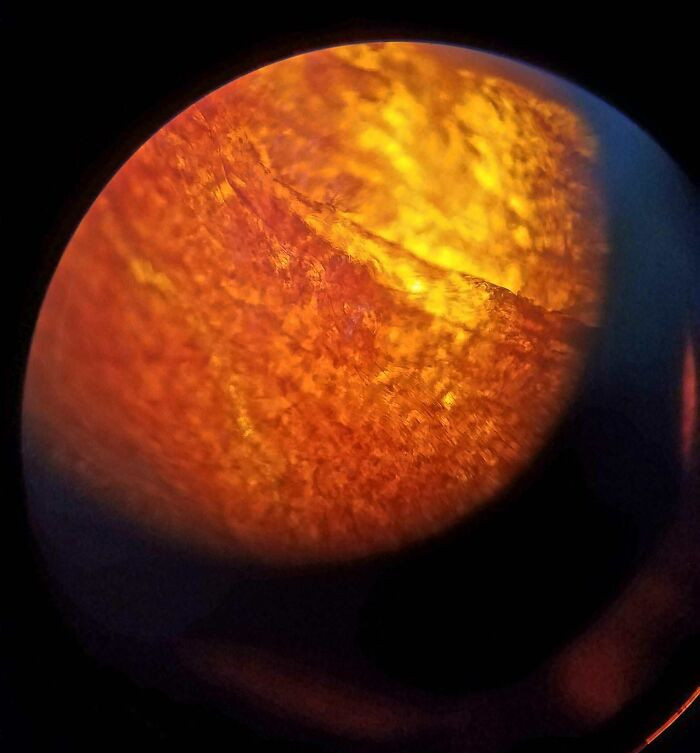 "Took A Photo Of A Red Pepper Flake Through A Microscope And It Looked Like A Planet"