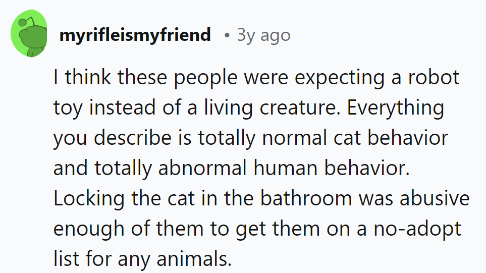 They wanted a robot, got a cat. Locked her up? Now they're on the 'no-pet' chat!