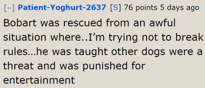 The reason why the rescue pit bull is aggressive.