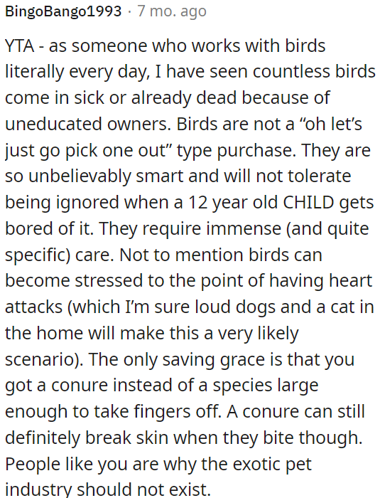 Choosing a pet bird should be a thoughtful decision, not an impulse buy.