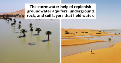 Sahara Desert Flooded After Rare 50-Year Weather Phenomenon