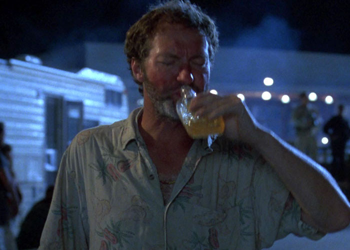 29. Independence Day