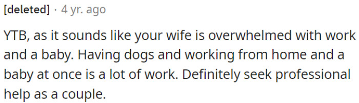 OP's wife seems swamped balancing work, a baby, and dogs