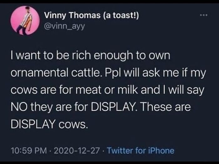 25. Y'all, take a look at my display cows