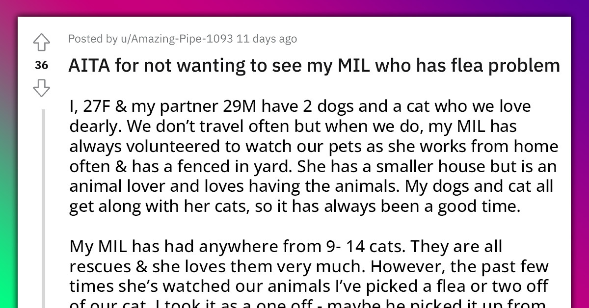 Redditor Wants To Stay Away From MIL For A Bit Because Of Her Flea Problem She Doesn't Even Acknowledge