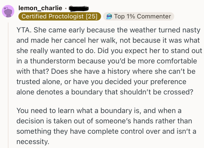 “YTA. She came early because the weather turned nasty and made her cancel her walk.”