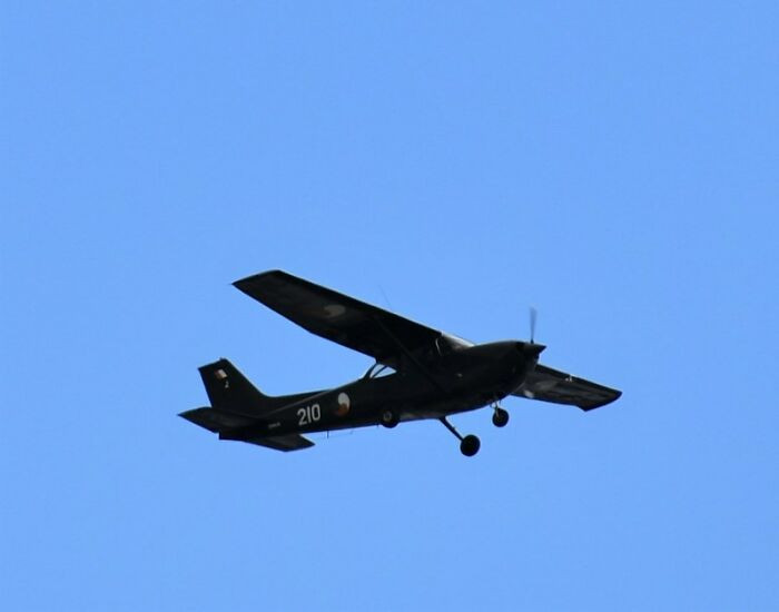 24. Whole family survives a plane crash.