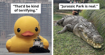 26 Things That Are Much Larger Than They Should Be