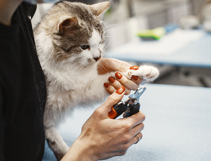 26. Accidental savings through cat clippers and health-conscious choices