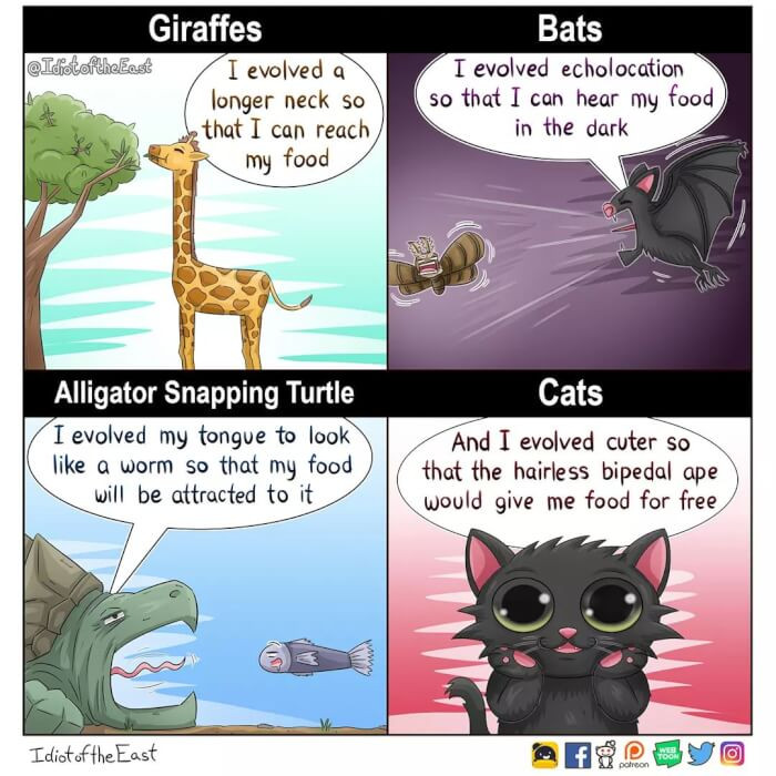 24. Getting Food for Free