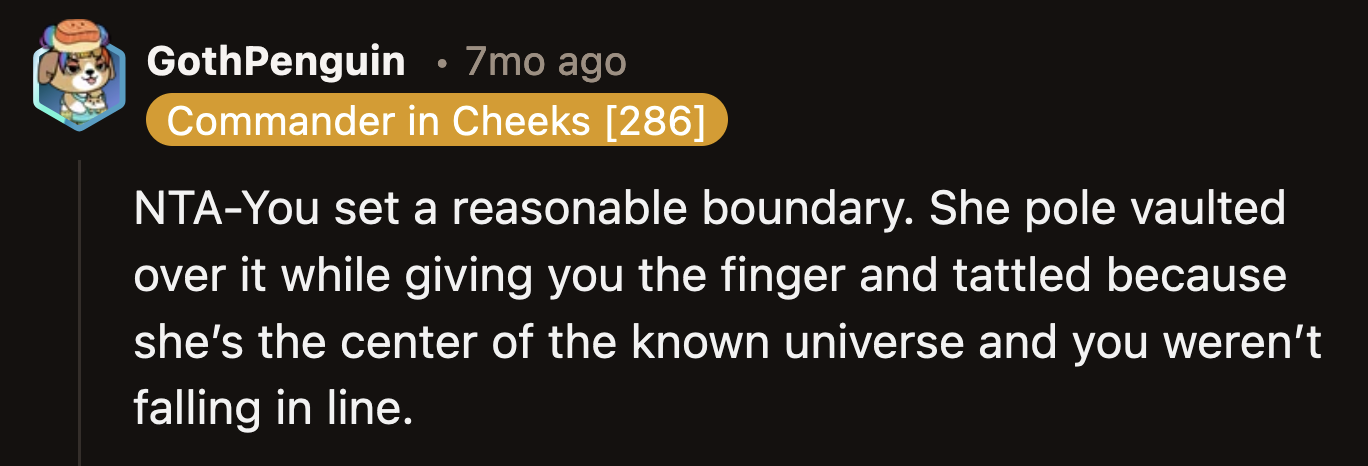 What was her SIL's goal with her unplanned (LOL) visits and guest room redecoration?