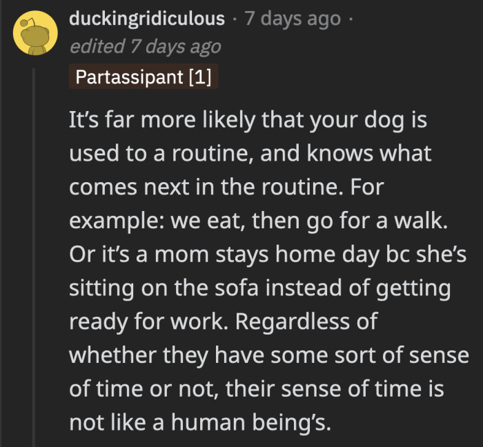 They may understand a routine, but that can also be changed