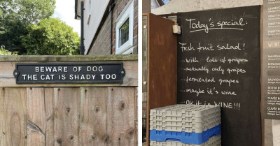 55 Everyday Situations That Turned Frustration Into Something Worth Smiling About