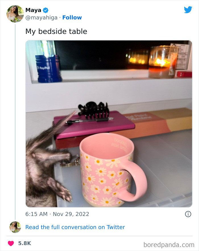 1. Tell me the first thing your eyes see