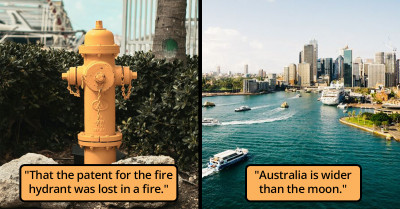 50+ Cool Random Facts That Will Satisfy Your Insatiable Curiosity